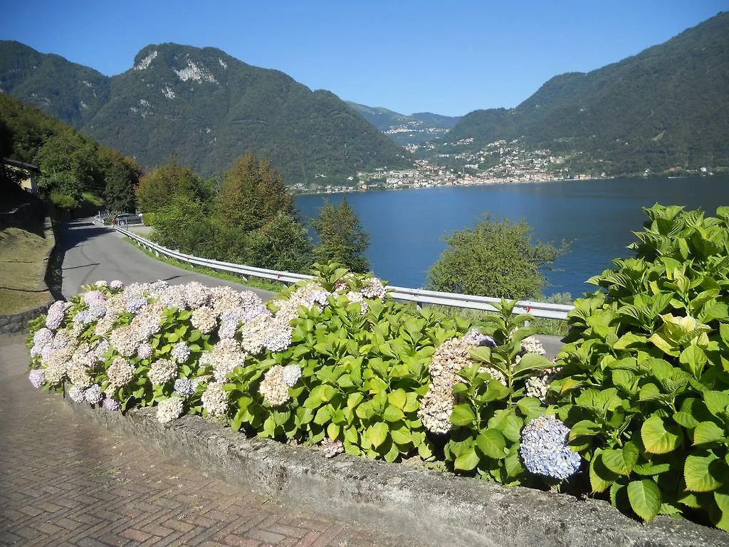 The Silence Holiday Apartment Lezzeno Italia